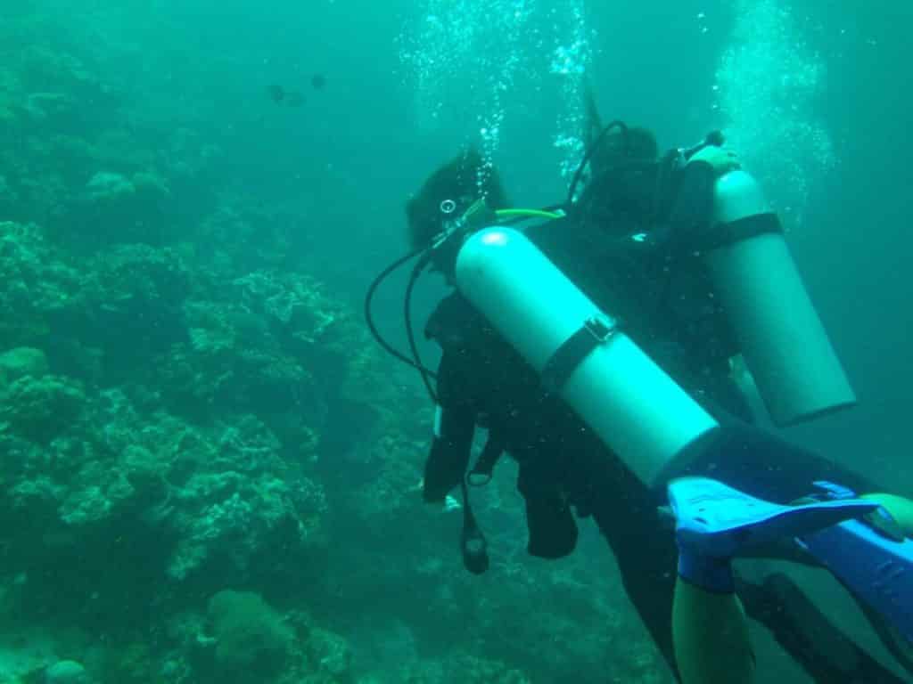 セブ島にあるオランゴ島では体験ダイビングができる